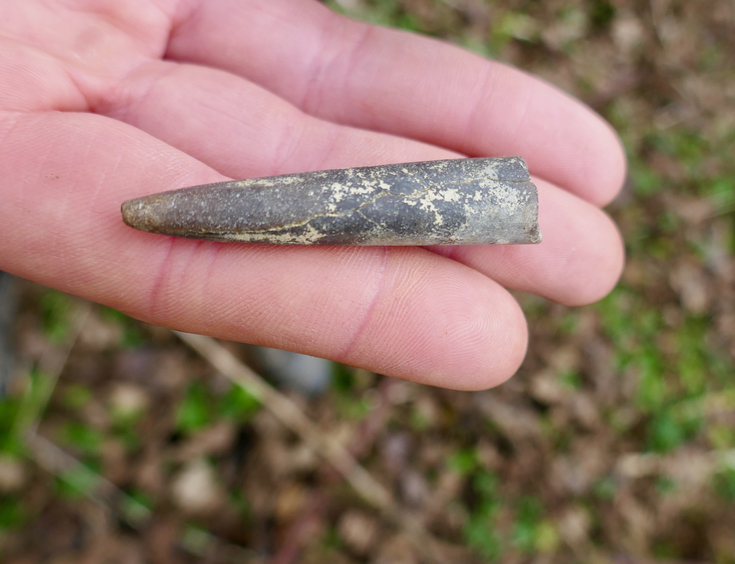 Cambridgeshire otter survey | Wildlife Trust for Beds Cambs & Northants